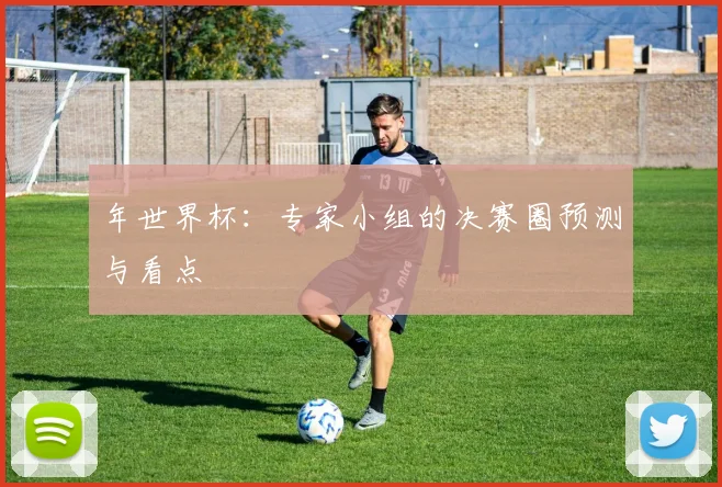 年世界杯:专家小组的决赛圈预测与看点